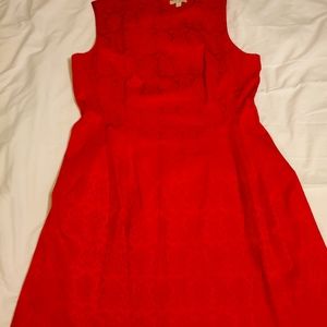New York & Company Eva Mendes Jacquard Dress